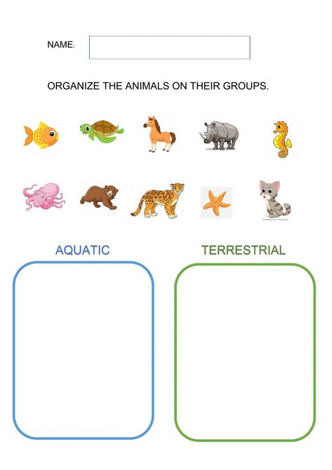 Terrestrial Animals, Habitat Activities, Animals Worksheet, Plants Worksheets, Holiday Homework, Science Vocabulary, Animal Worksheets, Aquatic Ecosystem, Preschool Art Activities