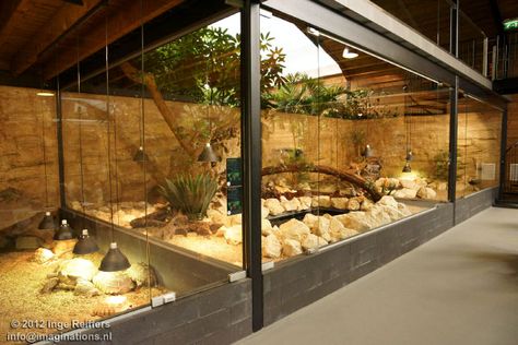 Big Reptile Enclosure, Tegu Enclosure, Animal Enclosures, Snake Terrarium, Tortoise Enclosure, Zoo Architecture, Tortoise Habitat, Reptile House, Reptile Room