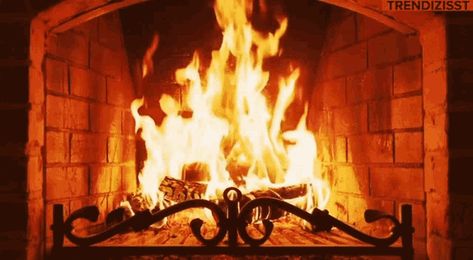 Burning Fireplace Fire GIF - Tenor GIF Keyboard - Bring Personality To Your Conversations | Say more with Tenor Burning Video, Fireplace Video, Relaxing Sounds, Fire Burning, Open Fires, Music Heals, Relaxing Music, Wallpaper Pc, Ultra Hd