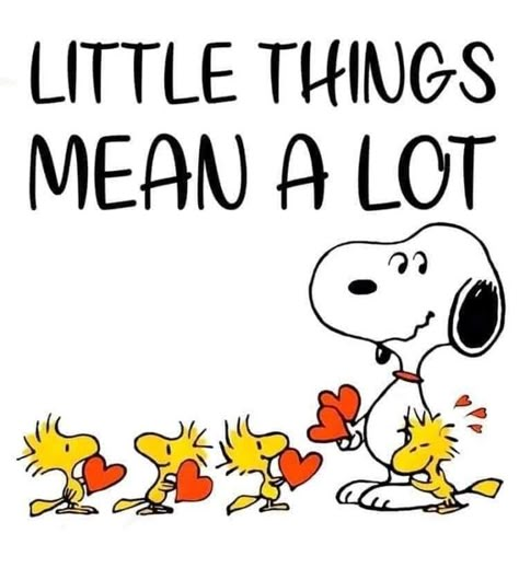 Peanuts Quotes, Snoopy Museum, Charlie Brown Quotes, Snoopy Valentine, Woodstock Peanuts, Snoopy Comics, Snoopy Cartoon, Snoopy Funny, Snoopy Images