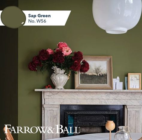 Aboff’s Paints on Instagram: "💚 INSPIRATION: Sap Green by Farrow & Ball. This organic green is a true reflection of nature, creating a soft, lived-in atmosphere when combined with Broccoli Brown and Duck Green. Used in smaller spaces, such as a hallway or porch, it creates a richer, more vital atmosphere. . LONG ISLAND'S ONLY FARROW & BALL DEALER. Available at select locations. . #aboffs #color #inspiration #paintstore #longisland #farrowandball #greens #paint #3locations Farrow & Ball US" Green Farrow And Ball, Nature Palette, Farrow And Ball Living Room, Cream Paint Colors, Sap Green, Duck Green, Benjamin Moore White, Best Paint Colors, White Paint Colors