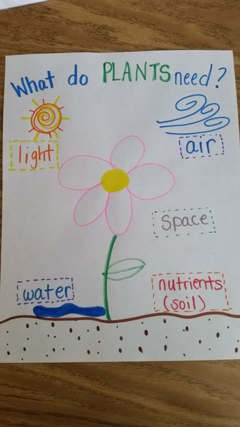 Plant needs anchor chart Plant Prek Activities, Prek Planting Activities, Plant Week Preschool, Garden Week Preschool, Gardening Ideas For Preschool, Plant Study Preschool, Gardening Theme Preschool, Garden Activity Preschool, Preschool Plant Theme