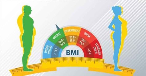 Bmi Chart For Women, Bmi Chart, Types Of Cooking Oil, Causes Of Back Pain, Egg Diet Plan, Ab Routine, Boiled Egg Diet Plan, Gym Interior, Flatter Stomach