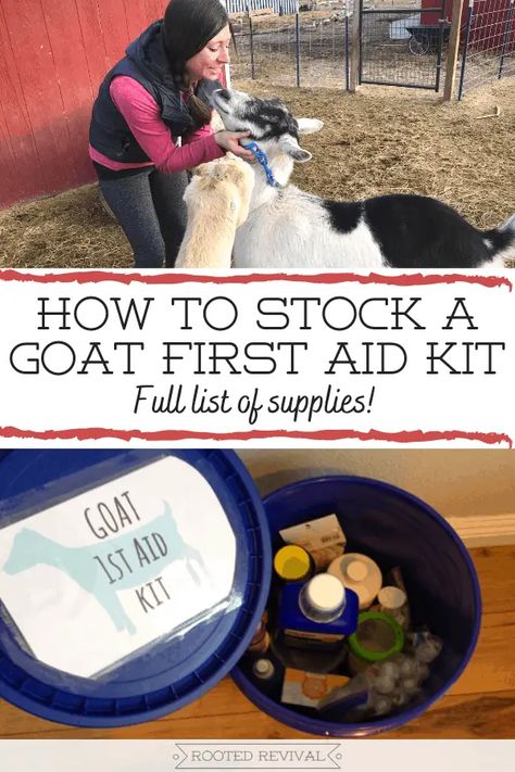 How to Stock a Goat First Aid Kit - Rooted Revival Goat Kidding Kit, Backyard Goats, Nigerian Goats, Backyard Animals, Pet Goat, Goat House, Feeding Goats, Basic First Aid, Goat Care