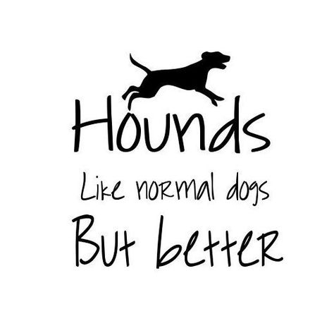 Hunting Dog Quotes, Walker Hound, Dogs Hunting, Coon Hunting, Etching Ideas, Hunting Svg, Bear Hunting, Dog Box, Fox Hunting