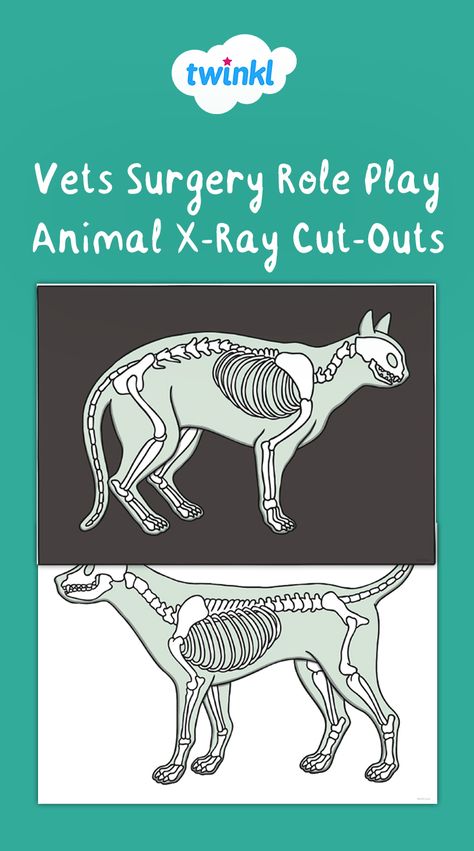 Use this fun animal x-rays resource to add to your vet role-play area or to explore animal biology! Visit the Twinkl website to download and discover the thousands of teaching resources! #vets #roleplay #animals #xray #roleplayarea #classroom #classroomideas #classroominspiration #eyfsideas #eyfsclassroom #twinkl #twinklresources #teachingresources Animal X Rays Printable, Free Printable Animal Xrays, Animal Xray, Vet Role Play, Dramatic Play Diy, Preschool Jobs, Animal Biology, Animal Life Cycles, Role Play Areas