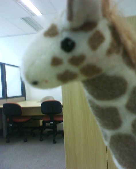 Dimas the giraffe ... Dean Venture, Giraffe Aesthetic, Silly Giraffe, Plush Giraffe, The Giraffe, Silly Animals, Giraffes, Stuffed Animals, Mood Board