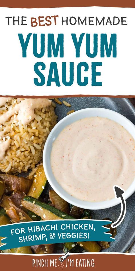 Image of Yum Yum Sauce - text reads The Best Homemade Yum Yum Sauce: For Hibachi chicken, shrimp & veggies! White Sauce Recipe Hibachi, Japanese White Sauce, Homemade Yum Yum Sauce, Yum Sauce Recipe, Yum Yum Sauce Recipe, Shrimp Sauce Recipes, Steak Veggies, Homemade White Sauce, Hibachi Restaurant