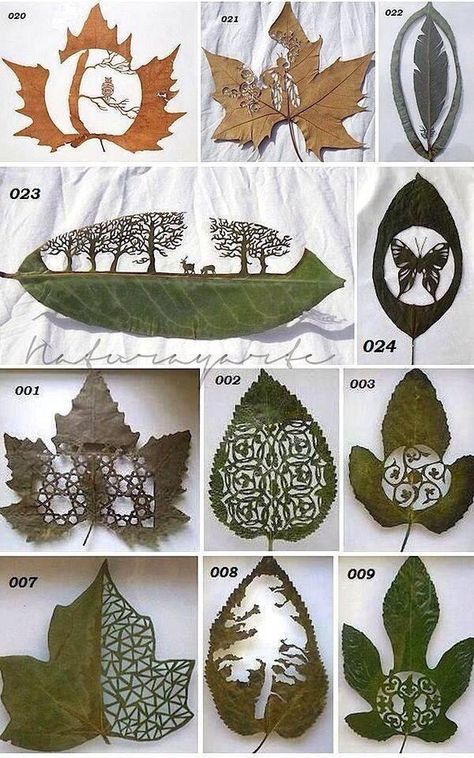 Makes me think of something the elves would do. For a kid or a friend or something. Hantverk Diy, Scandinavia Design, Diy Leaves, Leaf Crafts, Paper Cut Art, Nature Crafts, Kirigami, Leaf Art, Wabi Sabi