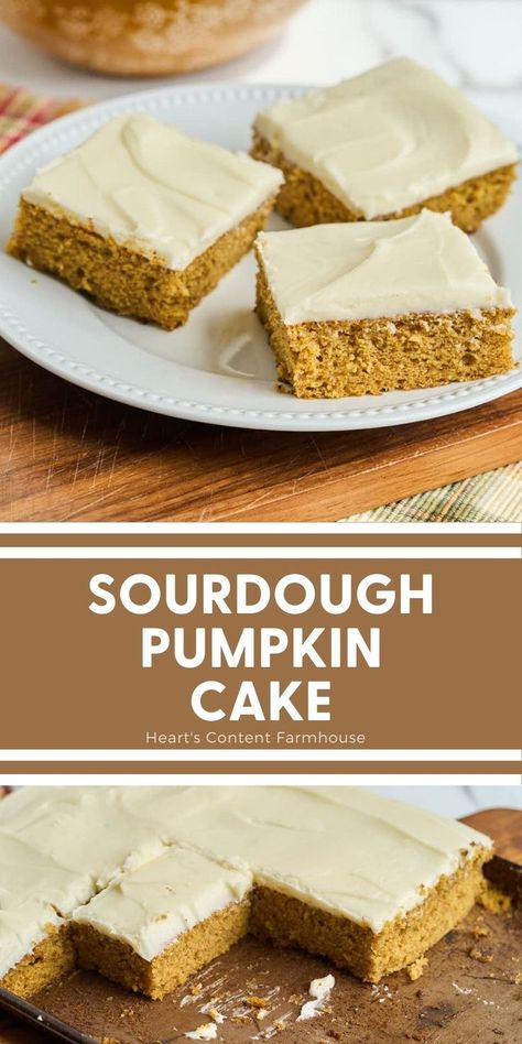 Fall Sourdough, Pumpkin Sourdough, Pumpkin Cake With Cream Cheese, Pumpkin Cake Recipe, Sourdough Pumpkin, Recipe Using Sourdough Starter, Making Sourdough Bread, Pumpkin Sheet Cake, Sourdough Starter Discard Recipe