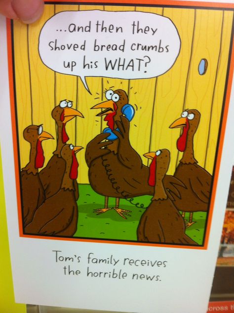 Thanksgiving Humor Hilarious Laughing, Happy Thanksgiving Quotes Friends, Funny Turkey Pictures, Thanksgiving Turkey Pictures, Funny Thanksgiving Pictures, Happy Thanksgiving Funny, Happy Thanksgiving Cards, Thanksgiving Quotes Funny, Thanksgiving Jokes