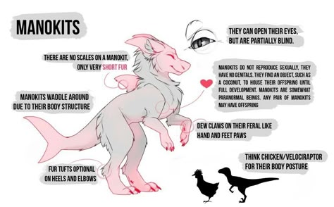 Fursuit Species Open, Manokit Fursona Art, Types Of Fursuits, Fursuit Species, Manokit Art, Manokit Fursona, Manokit Base, Manokit Fursuit, Fursuit Reference Sheet