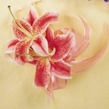 Lily wrist corsage Lily Corsage, Lily Corsage Prom, Calla Lily Corsage Wrist, Tiger Lily Corsage, Hot Pink Corsage Prom Wristlets, Corsage Light Pink, Pink Lillies, Senior Prom, Corsage Prom