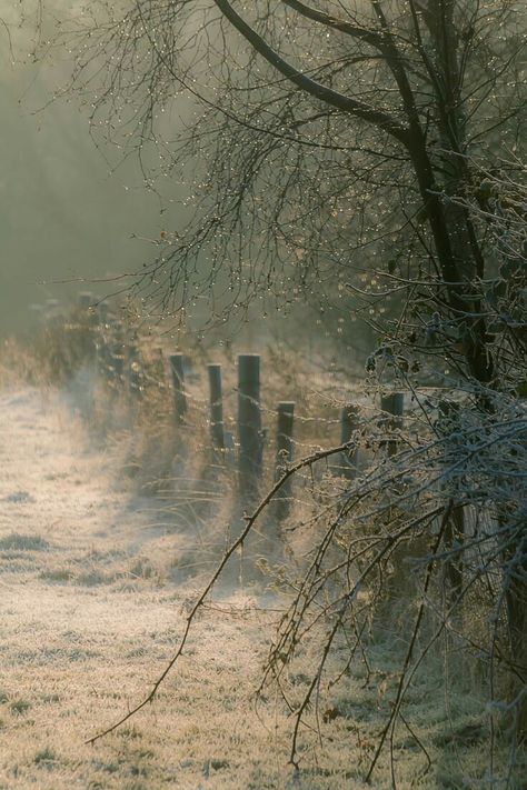 Winter's Tale, Winter Magic, Winter Scenery, Winter Beauty, Snow Scenes, Winter Wonder, Winter Landscape, Winter Scenes, 그림 그리기