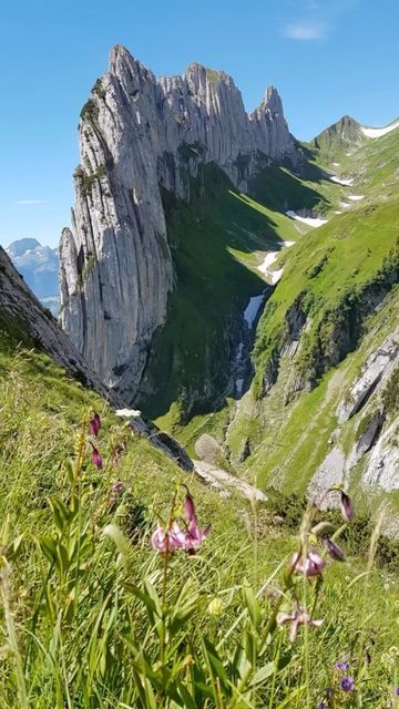 Exploring 🌍 on Instagram: "We have been on hikes in Switzerland with Swiss Family Fun @swissfamilyfun for over 16 years. Here is a list of some of our favorite hikes in Switzerland. 🇨🇭🇨🇭🇨🇭 1. Oeschinensee 2. Matterhorn 3. Schynige Platte 4. Ebenalp 5. Gstaad 6. Seealpsee 7. Stoos Ridge 8. Saxer Lücke . . #inlovewithswitzerland #swissalps #switzerland #switzerland🇨🇭 #switzerland_vacations #swissalps #europevacation #foryou #explore #europe #suisse #schweiz" Stoos Switzerland, Wilderswil Switzerland, Euro Winter, Basal Switzerland, Schynige Platte Switzerland, Switzerland Famous Places, Epesses Switzerland, Swiss Switzerland, Europe Vacation