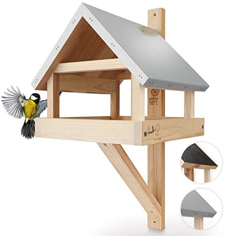 House For Birds, Building Bird Houses, Ginseng Plant, Animal Heart, Tree Swallow, Wooden Bird Feeders, Wooden Birdhouse, Hanging Bird Feeder, Bird Feeding Station