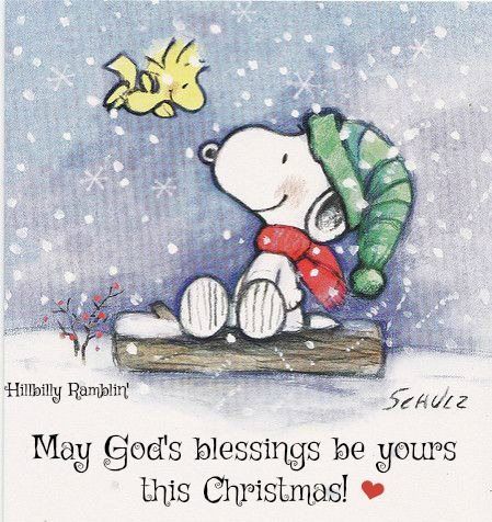 Snoopy Winter, Happy Winter Solstice, Woodstock Peanuts, Snoopy Images, Peanuts Cartoon, Peanuts Charlie Brown, Snoopy Wallpaper, Peanuts Christmas, Snoopy Pictures