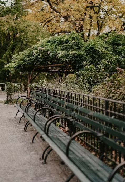 A row of green park benches sitting next to each other photo – New york Image on Unsplash Nyc Background, Sitting Next To Each Other, Photo New York, Park Benches, Grass Background, New York Pictures, Outdoor Park, Photographer Camera, Winter Images