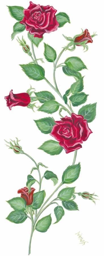 Bush Drawing, Rose Vine Tattoos, Bracelet Tattoos, Vine Drawing, Rose Picture, Vine Tattoo, Metal Roses, Vine Border, Ivy Rose