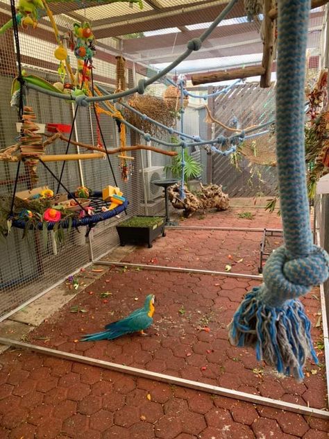 Big Parrot Cage, Bird Rooms Ideas, Cockatiel Habitat, Macaw Cage Ideas, Macaw Enclosure, Indoor Bird Aviary, Parrot Enclosure, Macaw Aviary, Bird Room Ideas