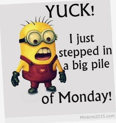 Minion Facebook, Funny Girl Meme, Quotes Funny Life, Hilarious Signs, Funny Quotes Humor, Facebook Mom, Quotes Hilarious, Happy Birthday Quotes Funny, Funny Jokes To Tell