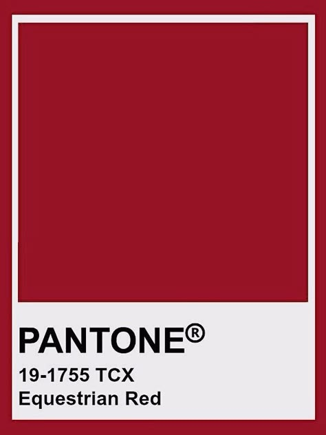 Pantone Red, Color Knowledge, Pantone Palette, Pantone Colour Palettes, Color Design Inspiration, Red Colour Palette, Color Analysis, Red Aesthetic, Pantone Color