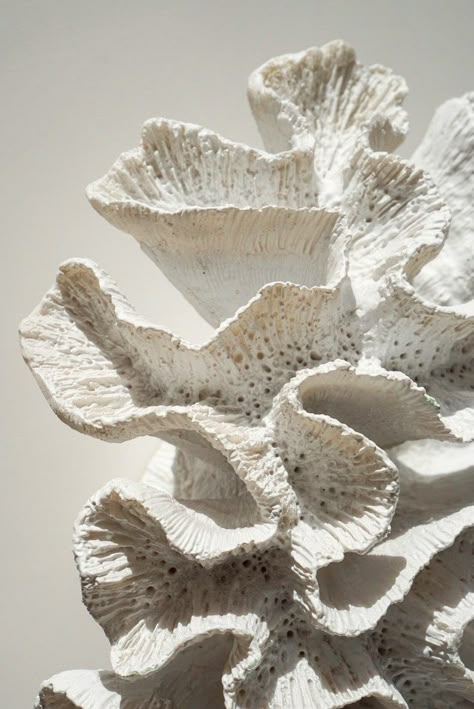 Natural Forms Sculpture, Sea Shell Texture, Organic Shapes In Nature, Coral Pottery, Mediterranean Nature, Coral Shapes, Rice Art, Bleached Coral, Coral Sculpture