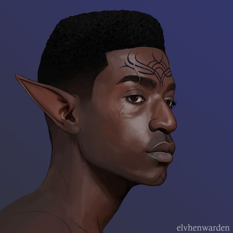 (2) very excited about davrin – @elvhenwarden on Tumblr Davrin Dragon Age, Grey Warden, Very Excited, Dragon Age, Black People, On Tumblr, Tumblr, Grey, Black