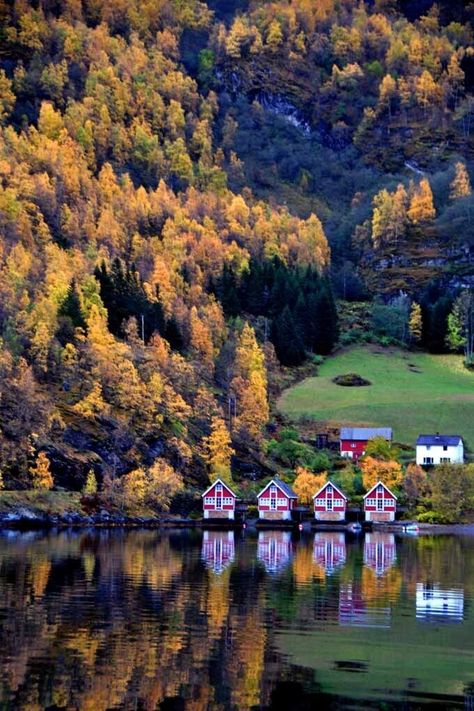 Autumn Trees Flam Aurlandsfjord Norway Photograph Picture Print Norway Autumn, Flåm Norway, Norway Summer, Flam Norway, Norway Trip, Tromso Norway, Norway Nature, Holidays 2023, Europe 2024