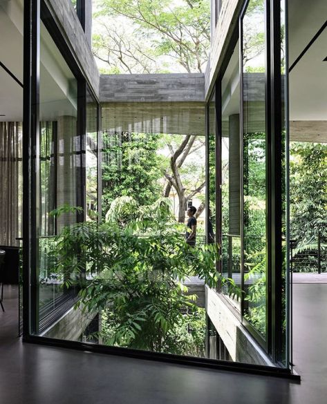 Frame Within A Frame, Singapore House, Atrium House, Atrium Design, Glass Walls, Patio Interior, Natural Ventilation, Interior Garden, House Layouts