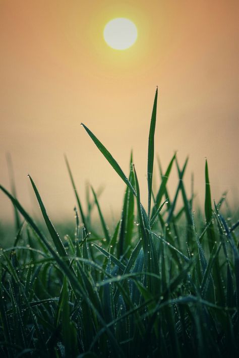 early morning View Raning Morning, Morning View Nature, Morning Vibes Photography, Morning View Aesthetic, Early Spring Aesthetic, Early Morning Aesthetic, Vibey Pictures, Instagram Photos Ideas, Natural Views