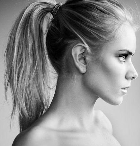 Ponytails. Sporty Ponytail, Perfect Ponytail, High Pony, Gym Hairstyles, Luxurious Life, A Ponytail, Daily Hairstyles, Sporty Hairstyles, High Ponytails