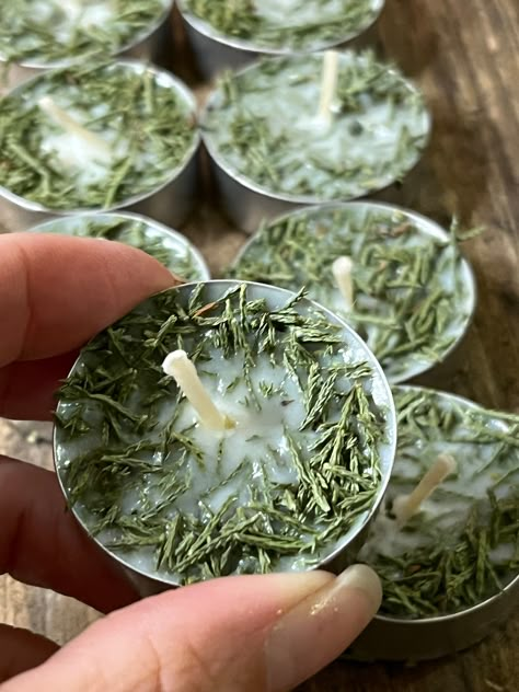 Tea Light Candle Packaging Ideas, Teal Lights, Herbal Candle, Herbal Crafts, Candles Meditation, Infused Tea, Magic Candles, Herbal Candles, Cedar Candle