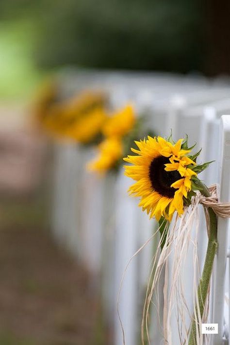 single stem of sunflower create a beautiful line of pew markers for this outdoor country wedding Prettiest Hairstyles, Bun Twist, Pew Markers, Messy Braid, Chic Updo, Sunflower Wedding Decorations, Outdoor Country Wedding, Braid Bun, Lilly Flower