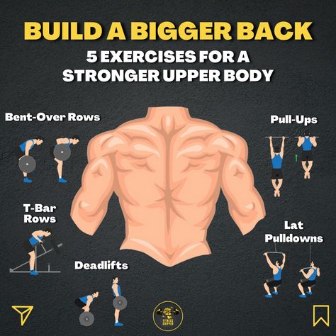 Infographic on how to build a bigger back with 5 exercises for a stronger upper body. T Bar Row, Become Stronger, Strong Back, Body Strength, Build Strength, Upper Body Strength, Strong Body, Back Workout, Upper Body Workout