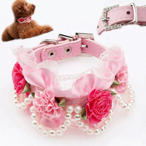 Puppy Flowers, Dog Pearls, Dog Bling, Beaded Dog Collar, Birthday Accessories, Cute Dog Collars, Fancy Dog, Pearl And Lace, Rose Lace