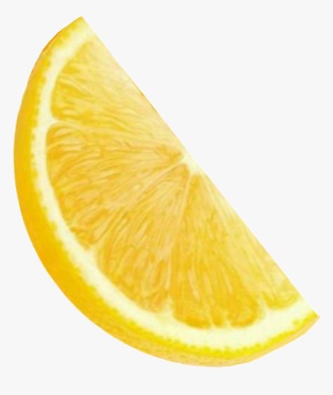 Lemon Image, Lemon Png, Lemon Images, Tumblr Transparents, Orange Png, Earthy Tattoos, Lemon Lemonade, Element Design, Orange Slice