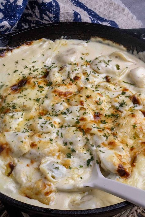 Tortellini Alfredo (Easy Oven Baked Recipe) - Enza's Quail Hollow Kitchen Baked Tortellini Alfredo, Tortellini Alfredo, Baked Recipe, Tortellini Bake, Sausage Tortellini, Chicken Tortellini, Italian Comfort Food, Oven Baked Recipes, Tortellini Pasta