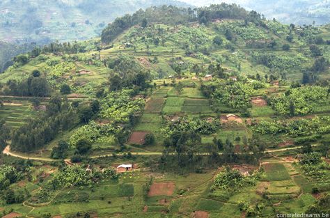 Rwanda | South African History Online Farming Landscape, Vegetables Pictures, South African History, Fruits And Vegetables Pictures, Vegetable Pictures, Africa Photography, Rainforest Animals, Dream Land, House Map