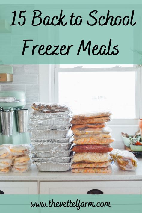 School Night Dinner, Freezer Dinners, School Dinners, Healthy Freezer Meals, Freezer Meal Prep, Dinner Meal Prep, Freezer Breakfast, Pasta Night, School Food