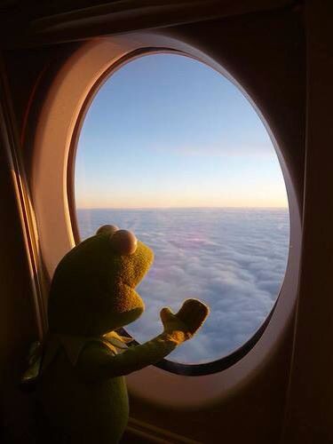 Kermit on a plane looking out the window Airplane Window, The Clouds, Stuffed Animal, Teddy Bear