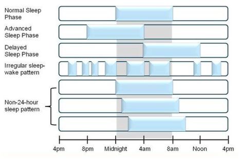 Sleep Disorders Australia :: Circadian Rhythm Disorders Delayed Sleep Phase Syndrome, Circadian Clock, Sleep Diary, Sleep Log, Sleep Phases, Daytime Sleepiness, Basic Language, Unable To Sleep, Body Clock