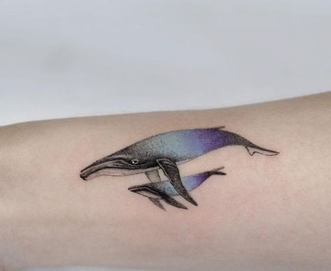 Whale Reference, Whale Tattoos, Calf Tattoo, Watercolor Tattoo, Google Search, Tattoos