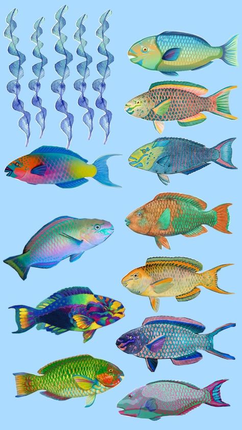 parrot fish variant Blue Parrot Fish, Parrot Fish, Art Textiles, Parrot, Art Inspiration, Character Design, Textiles, Fish, Fan Art