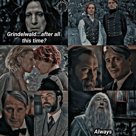 Harry Potter Grindelwald, Dumbledore And Grindelwald, Grindelwald And Dumbledore, Albus Dumbledore Gellert Grindelwald, Albus X Gellert, Grindelwald X Albus, Dumbledore X Grindelwald, Arte Zombie, Uno Card