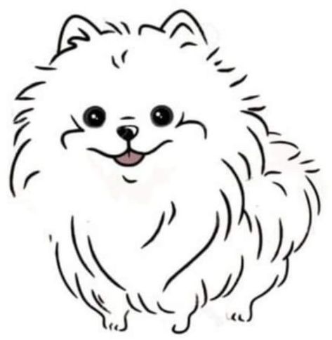 Pomeranian Doodle Drawing, Pomeranian Dog Tattoo, Japanese Spitz Tattoo, Spitz Dog Drawing, Pomeranian Drawing Simple, Pomeranian Line Art, Draw Pomeranian, Pomeranian Embroidery, Pomeranian Tattoo