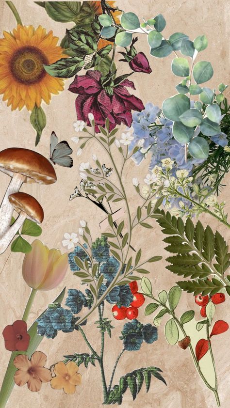 Nature 🌷#aesthetic #vintage #collage #flowergarden Nature Aesthetic Vintage, Nature Aesthetic Collage, Nature Collage Wallpaper, Nature Aesthetic Wallpaper Collage, Flowers Collage Aesthetic, Plant Aesthetic Collage, Cottagecore Collage Wallpaper, Nature Collage, Spring Inspo