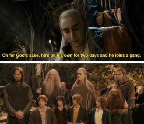 A Hot Mess of Lord of the Rings Memes Both Old and New - Memebase - Funny Memes Thranduil Funny, Tolkien Funny, Lotr Elves, Legolas And Thranduil, Lotr Funny, New Funny Memes, The Hobbit Movies, Thranduil, Legolas