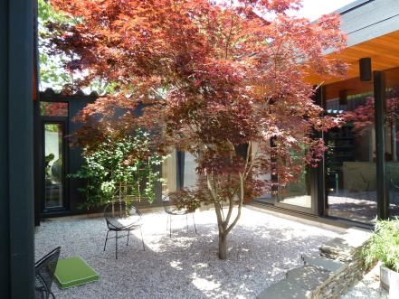 Seaside Homes, Japanese Courtyard, Japanese Garden Plants, Big Indoor Plants, Backyard Spa, Interior Courtyard, Hgtv Garden, Minimalist Garden, Shelter Island