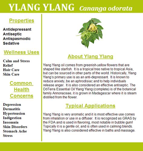 www.fb.com/HealingLotusAromatherapy Ylang Ylang Benefits, Healthy Rituals, Ylang Ylang Essential Oil Benefits, Esential Oils, Hoodoo Spells, Doterra Oil, Oil Remedies, Essential Oils Herbs, Ylang Ylang Essential Oil